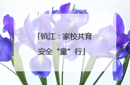 镇江：家校共育 安全“童”行