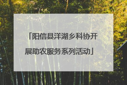 阳信县洋湖乡科协开展助农服务系列活动