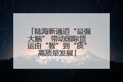 陆海新通道“最强大脑” 带动国际货运由“智”到“质”高质量发展