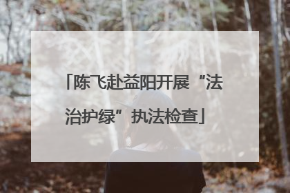 陈飞赴益阳开展“法治护绿”执法检查
