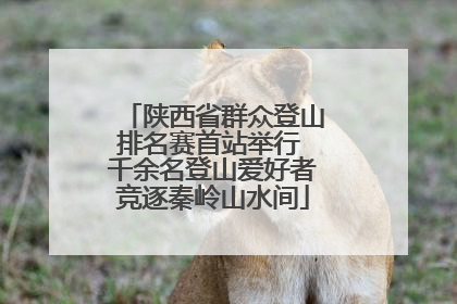 陕西省群众登山排名赛首站举行 千余名登山爱好者竞逐秦岭山水间