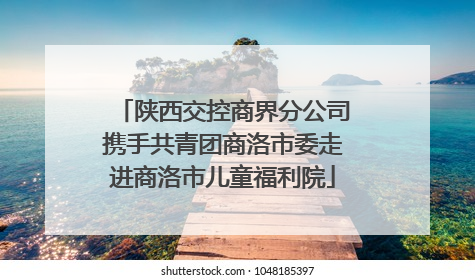 陕西交控商界分公司携手共青团商洛市委走进商洛市儿童福利院