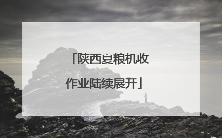 陕西夏粮机收作业陆续展开