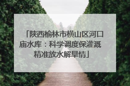 陕西榆林市横山区河口庙水库：科学调度保灌溉 精准放水解旱情