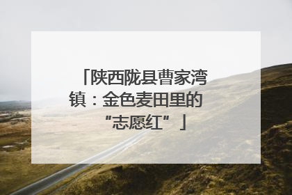 陕西陇县曹家湾镇：金色麦田里的“志愿红”
