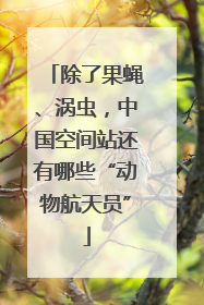 除了果蝇、涡虫，中国空间站还有哪些“动物航天员”