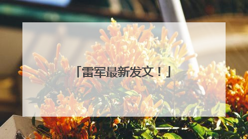 雷军最新发文！