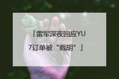 雷军深夜回应YU7订单被“截胡”