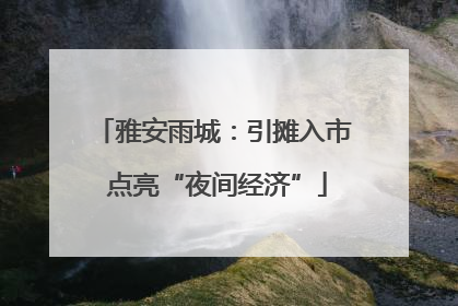雅安雨城：引摊入市 点亮“夜间经济”