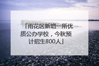 雨花区新增一所优质公办学校，今秋预计招生800人