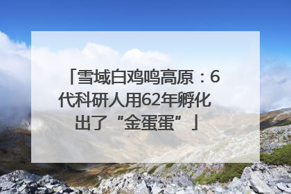 雪域白鸡鸣高原：6代科研人用62年孵化出了“金蛋蛋”