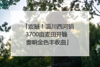 震撼!淄川西河镇3700亩麦田开镰 奏响金色丰收曲