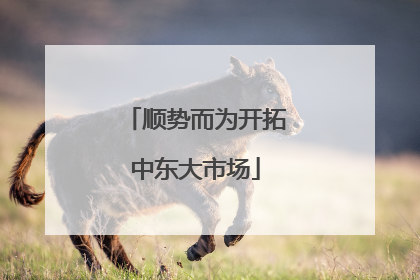 顺势而为开拓中东大市场