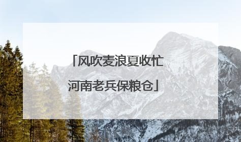 风吹麦浪夏收忙 河南老兵保粮仓