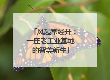 风起常经开：一座老工业基地的智美新生