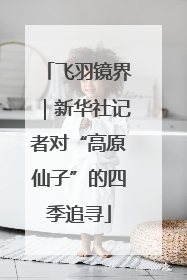 飞羽镜界｜新华社记者对“高原仙子”的四季追寻