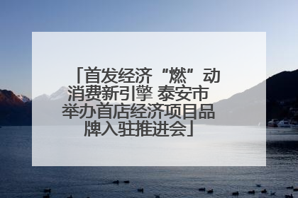 首发经济“燃”动消费新引擎 泰安市举办首店经济项目品牌入驻推进会