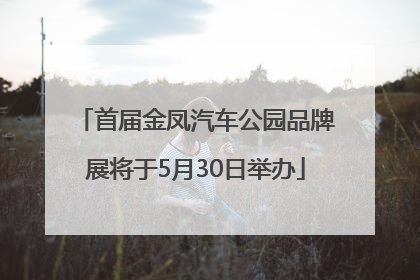 首届金凤汽车公园品牌展将于5月30日举办