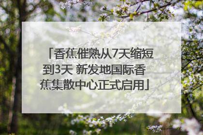 香蕉催熟从7天缩短到3天 新发地国际香蕉集散中心正式启用