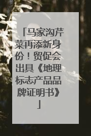 马家沟芹菜再添新身份！贸促会出具《地理标志产品品牌证明书》