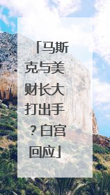 马斯克与美财长大打出手？白宫回应