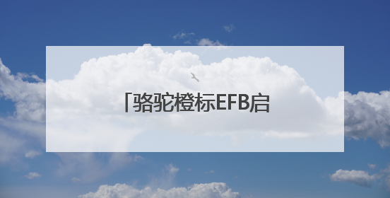 骆驼橙标EFB启停电池：引领高性价比启停电池新选择