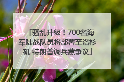 骚乱升级！700名海军陆战队员将部署至洛杉矶 特朗普调兵惹争议