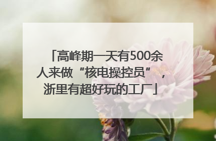 高峰期一天有500余人来做“核电操控员”，浙里有超好玩的工厂