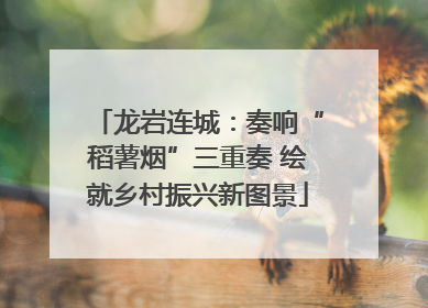 龙岩连城：奏响“稻薯烟”三重奏 绘就乡村振兴新图景