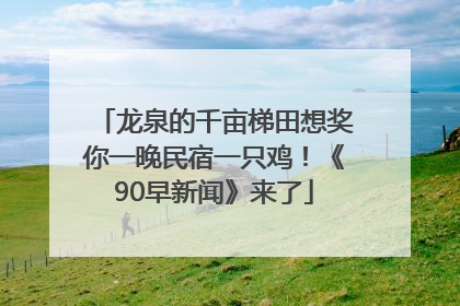 龙泉的千亩梯田想奖你一晚民宿一只鸡！《90早新闻》来了