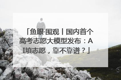 鱼眼·围观丨国内首个高考志愿大模型发布：AI填志愿，靠不靠谱？