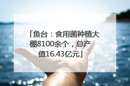 鱼台：食用菌种植大棚8100余个，总产值16.43亿元