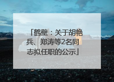 鹤壁：关于胡艳兵、郑涛等2名同志拟任职的公示