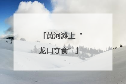 黄河滩上“龙口夺食”