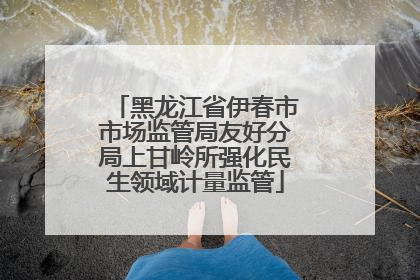 黑龙江省伊春市市场监管局友好分局上甘岭所强化民生领域计量监管