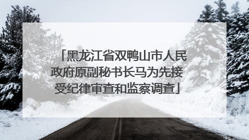 黑龙江省双鸭山市人民政府原副秘书长马为先接受纪律审查和监察调查