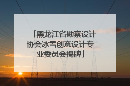 黑龙江省勘察设计协会冰雪创意设计专业委员会揭牌