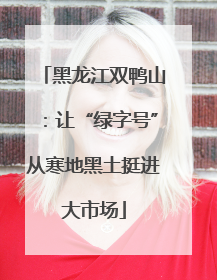 黑龙江双鸭山：让“绿字号”从寒地黑土挺进大市场