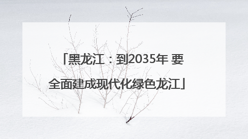 黑龙江：到2035年 要全面建成现代化绿色龙江