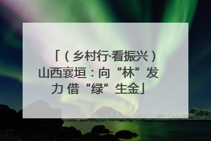 （乡村行·看振兴）山西襄垣：向“林”发力 借“绿”生金