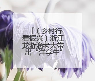 （乡村行·看振兴）浙江龙游渔老大带出“洋学生”：真正诠释“授人以渔”