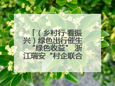 （乡村行·看振兴）绿色出行催生“绿色收益” 浙江瑞安“村企联合体”促共富