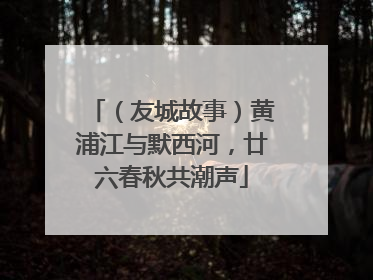 （友城故事）黄浦江与默西河，廿六春秋共潮声