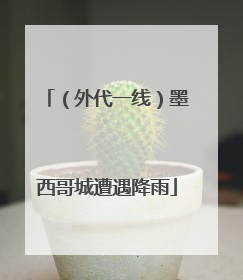 （外代一线）墨西哥城遭遇降雨