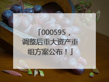 000595，调整后重大资产重组方案公布！