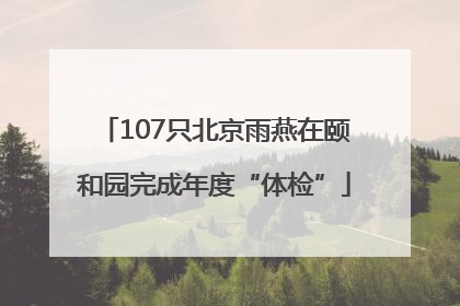 107只北京雨燕在颐和园完成年度“体检”