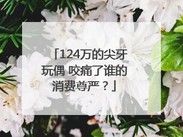 124万的尖牙玩偶 咬痛了谁的消费尊严？