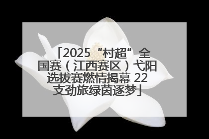 2025“村超”全国赛（江西赛区）弋阳选拔赛燃情揭幕 22支劲旅绿茵逐梦