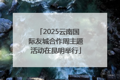2025云南国际友城合作周主题活动在昆明举行