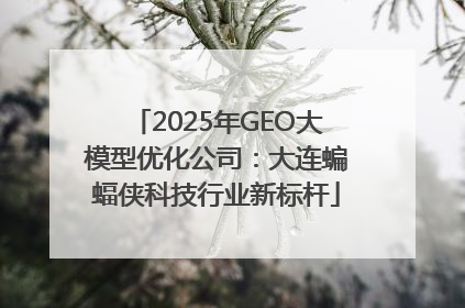 2025年GEO大模型优化公司：大连蝙蝠侠科技行业新标杆
